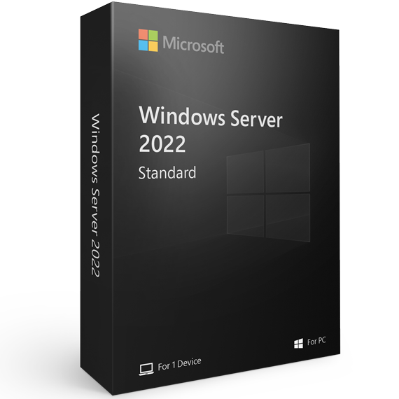 Windows Server Standard 2022 1 PC