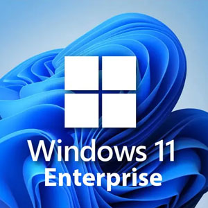 Windows 11 Enterprise 1 PC
