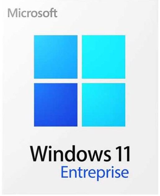 Windows 11 Enterprise 1 PC