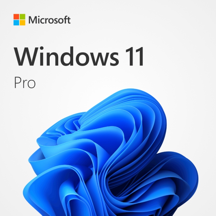 Windows 11 Pro 1 PC