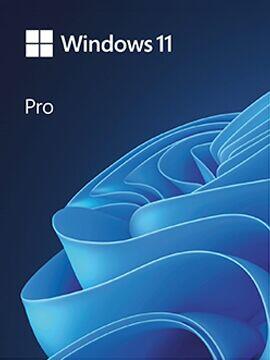 Windows 11 Pro 1 PC