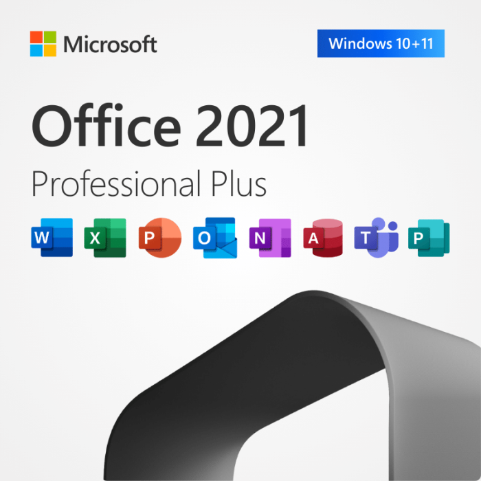 Microsoft Office 2021 Pro Plus 1 PC