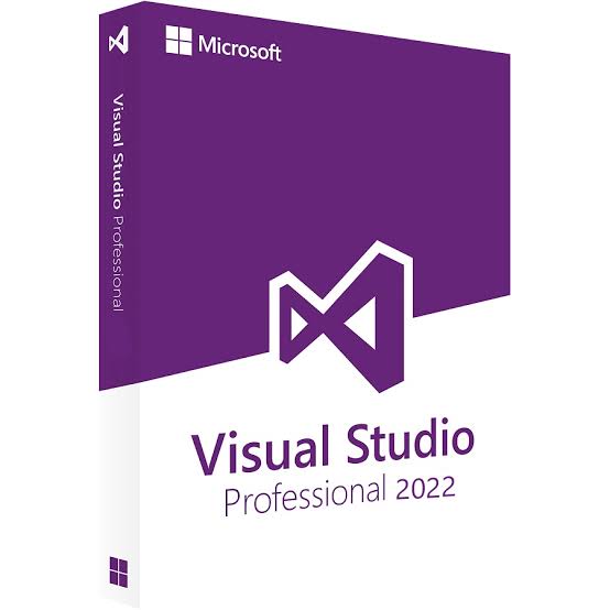 Visual Studio Pro 2022