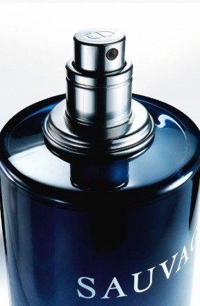 Dior Sauvage Eau de Parfum | 100 ML