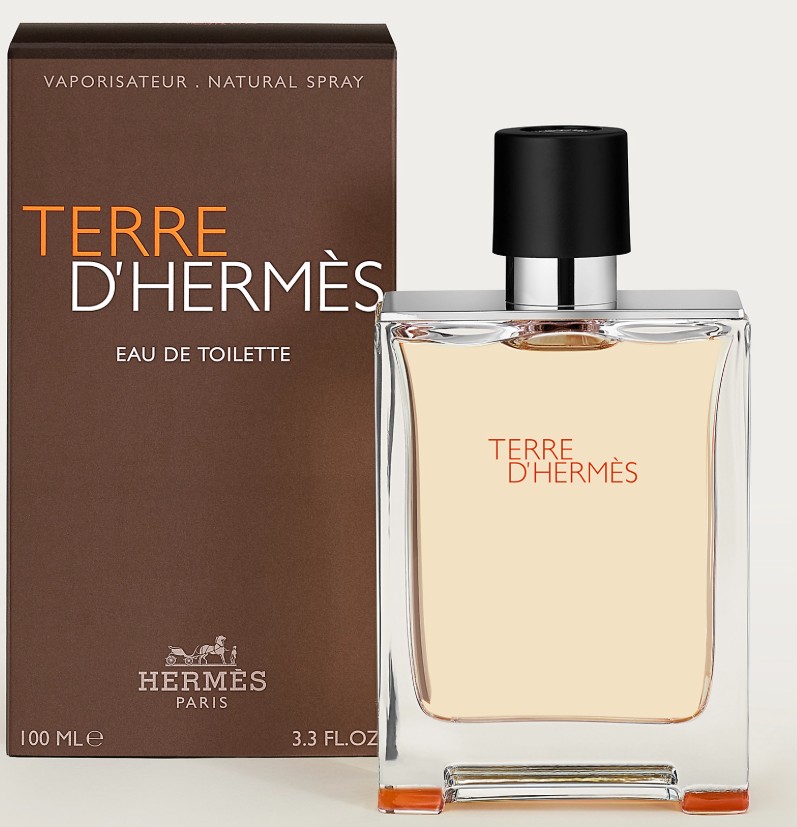 Terre d´Hermès Eau de Toilette | 100 ML