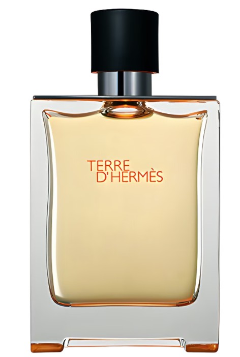 Terre d´Hermès Eau de Toilette | 100 ML